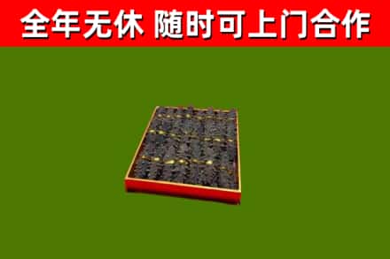 临武县回收海参